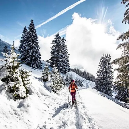 Chalet Gelinote For 4 People *