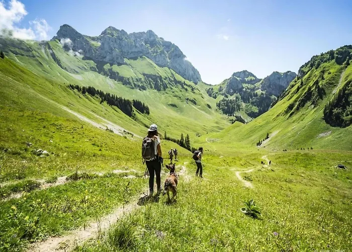 Gelinote For 4 People *