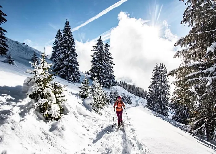 Gelinote For 4 People